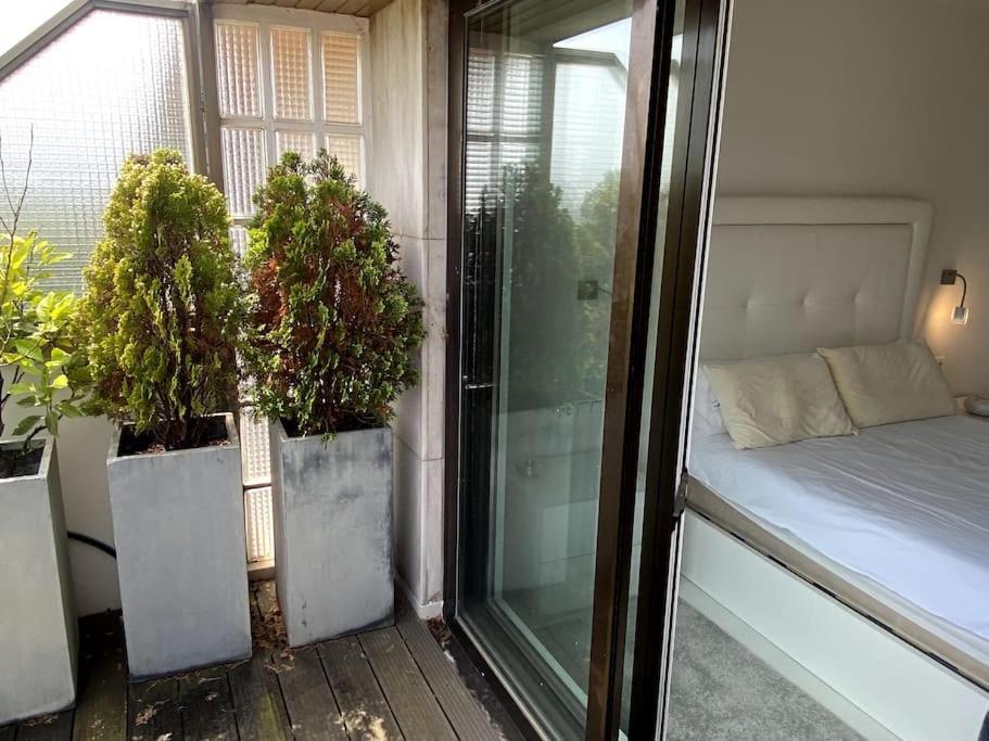 Avenida Vt - Vivienda Turistica Apartment San Sebastian Bagian luar foto